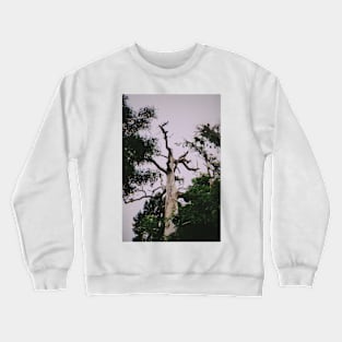 SOMEDAY I will be Crewneck Sweatshirt